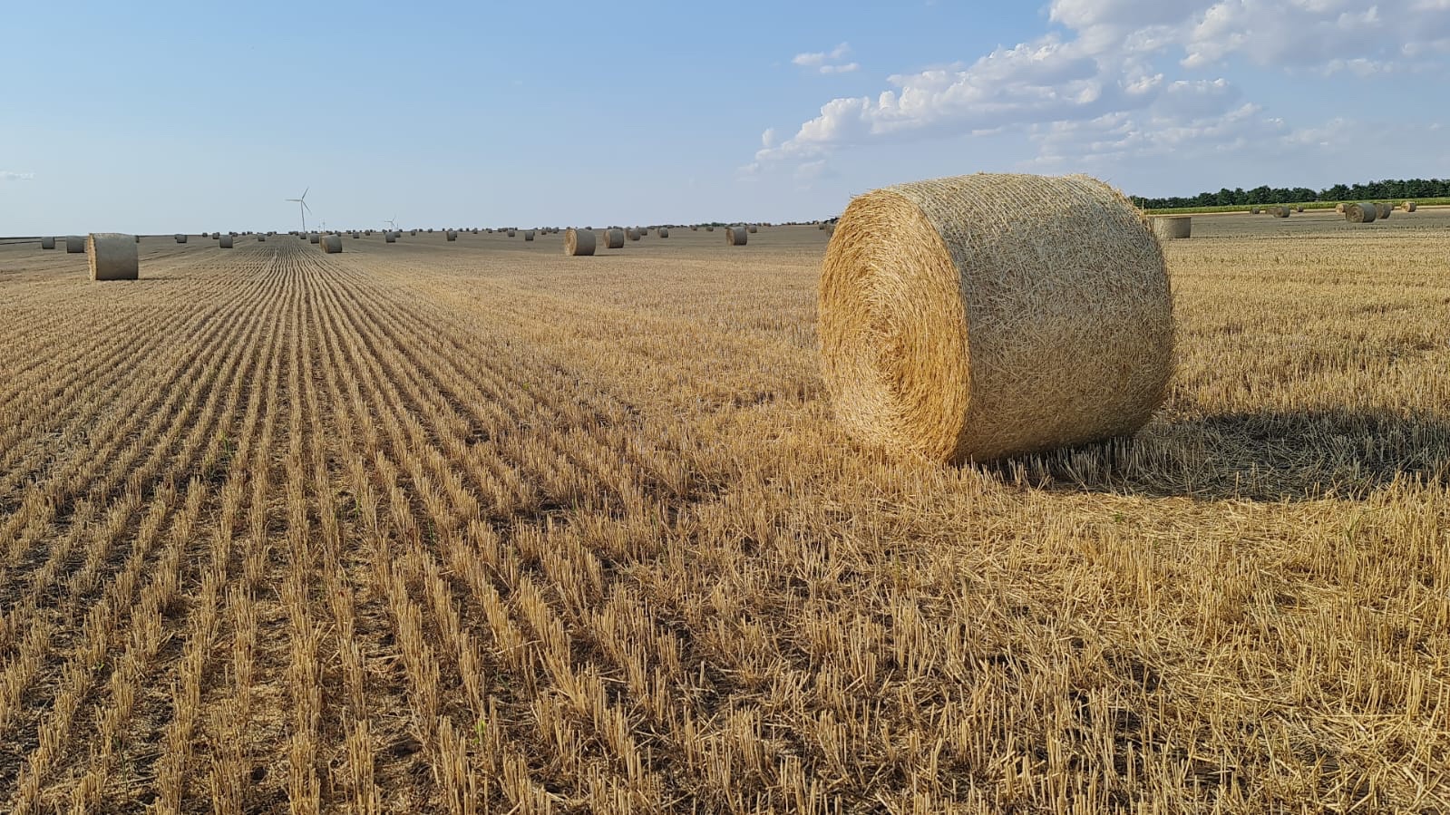 Evoluția companiei românești care a ajuns să se extindă în Brazilia și Statele Unite, după ce în anul 2013 avea o cifră de af