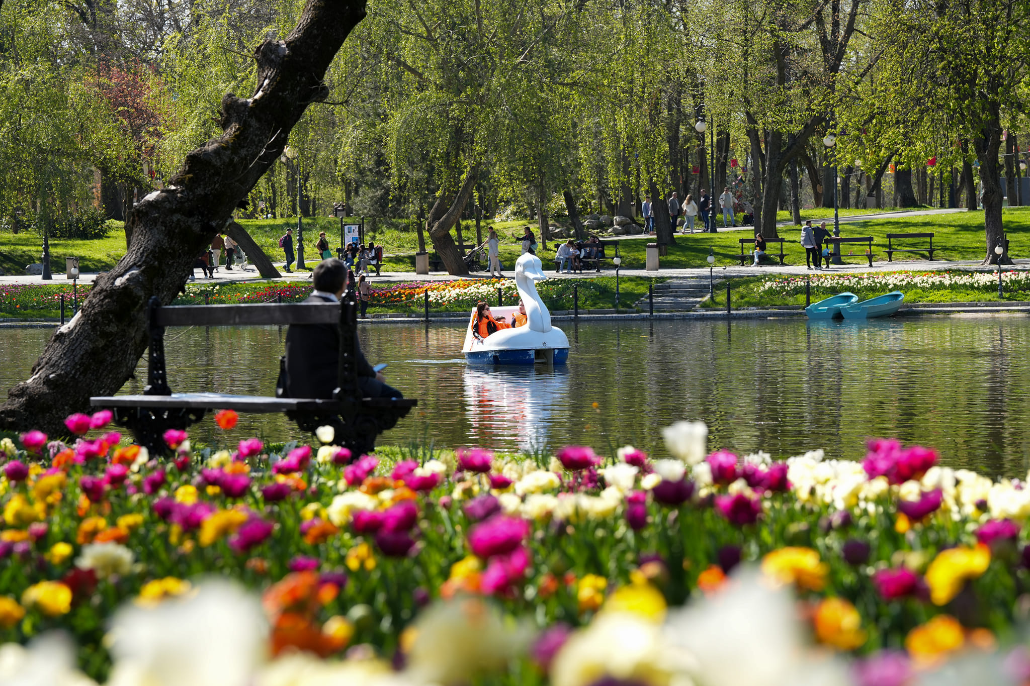 Topul celor mai mari 20 de companii din Dolj. Care sunt afacerile preferate de locuitorii acestui județ