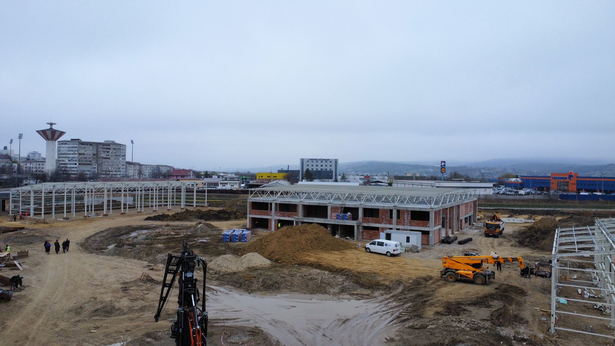 Topul celor mai mari 20 de companii din Vaslui. Județul are investiții zero din Statele Unite, iar 29 de societăți au accesat