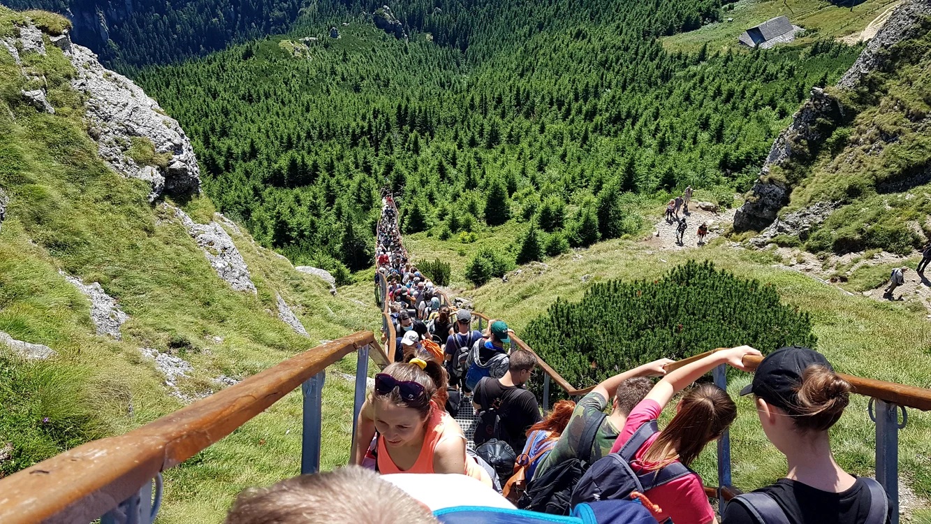 Topul celor mai mari 20 de companii din Neamț. Este unul dintre puținele județe din Moldova în care firmele au înregistrat o 