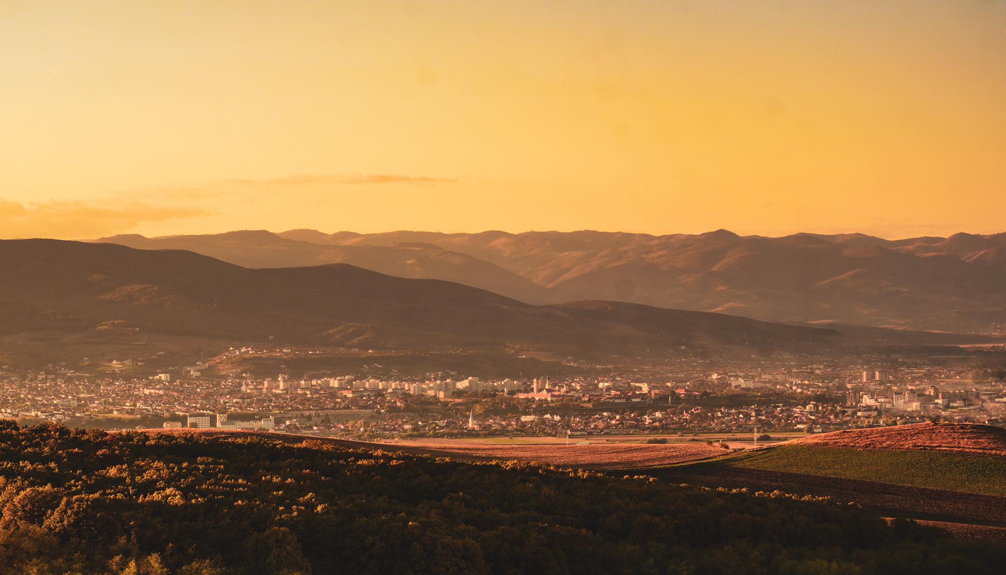 Topul celor mai mari 20 de companii din Alba. Județul este dominat de cinci firme care au venituri de 40% din cifra totală de