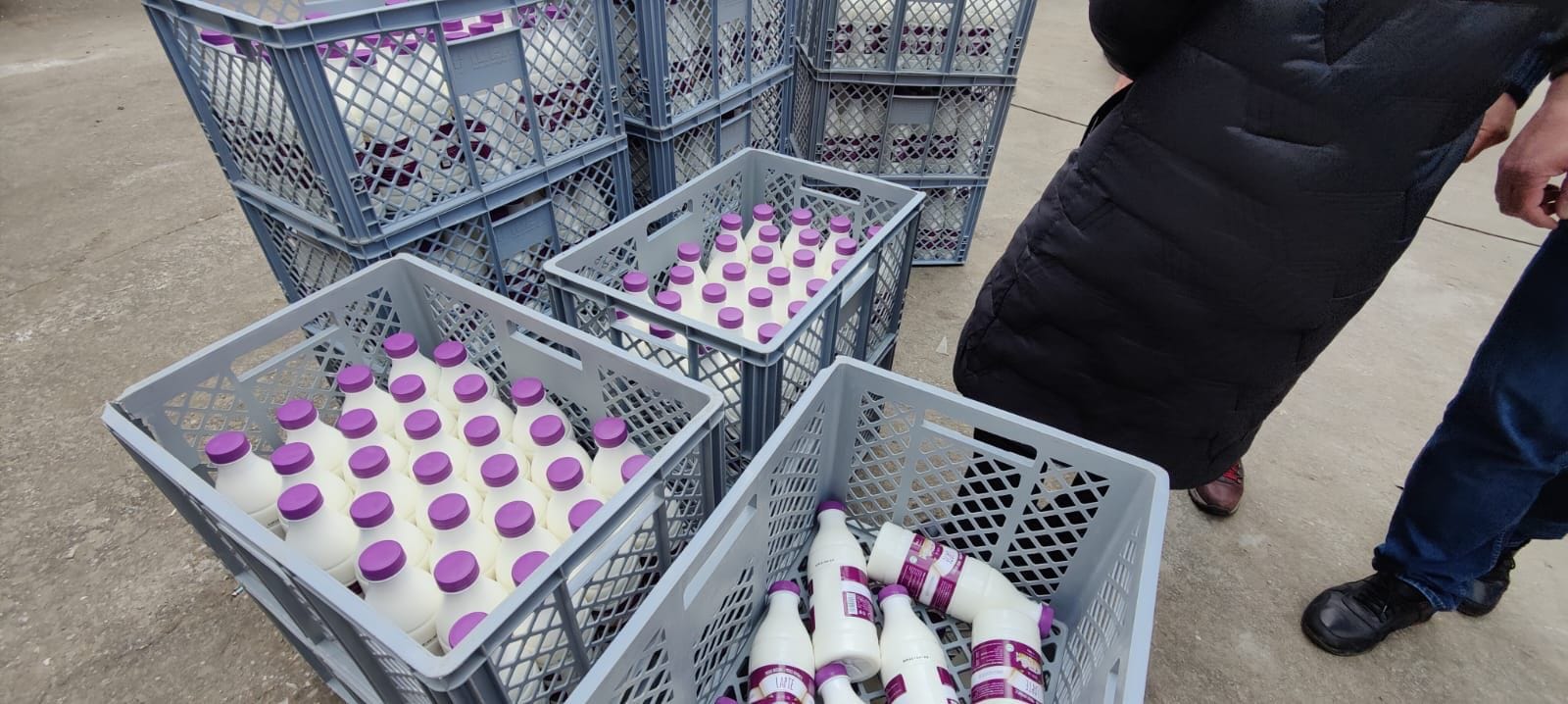 Profit.ro | Proprietarul olandez al Napolact ar dori să vândă compania din România