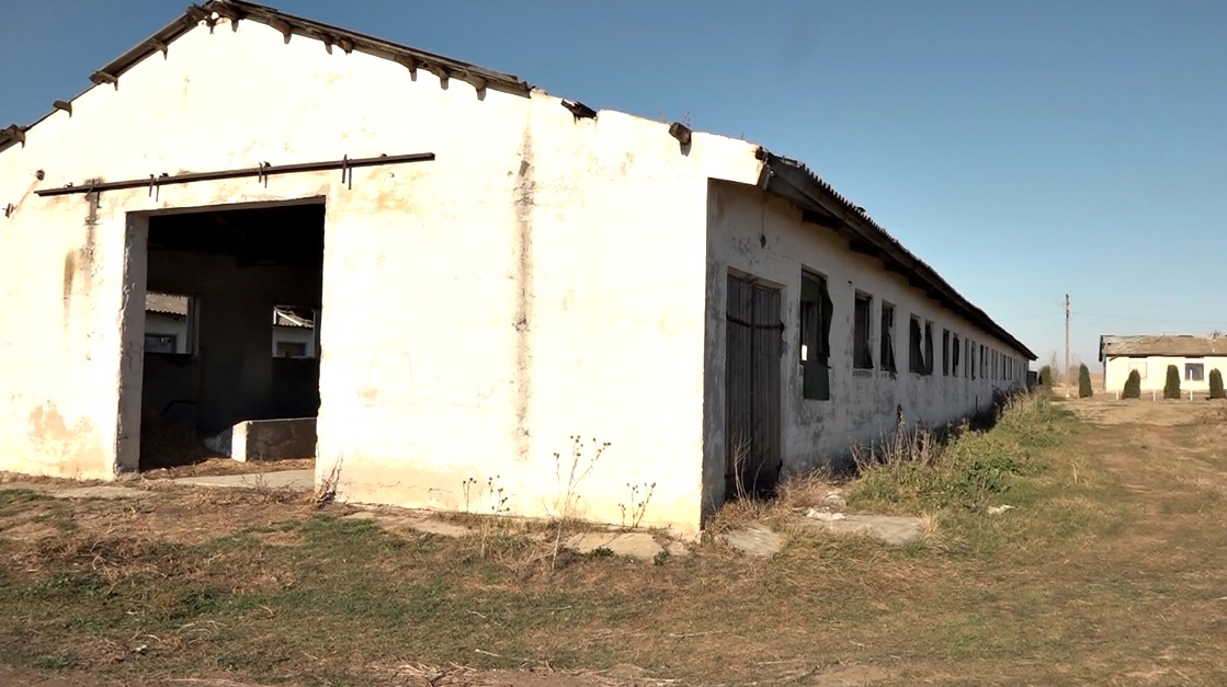 Soluția pentru a aduce fonduri la bugetul de stat: „De ce n-ar fi scoase la vânzare activele care zac nefolosite?”, spune șef