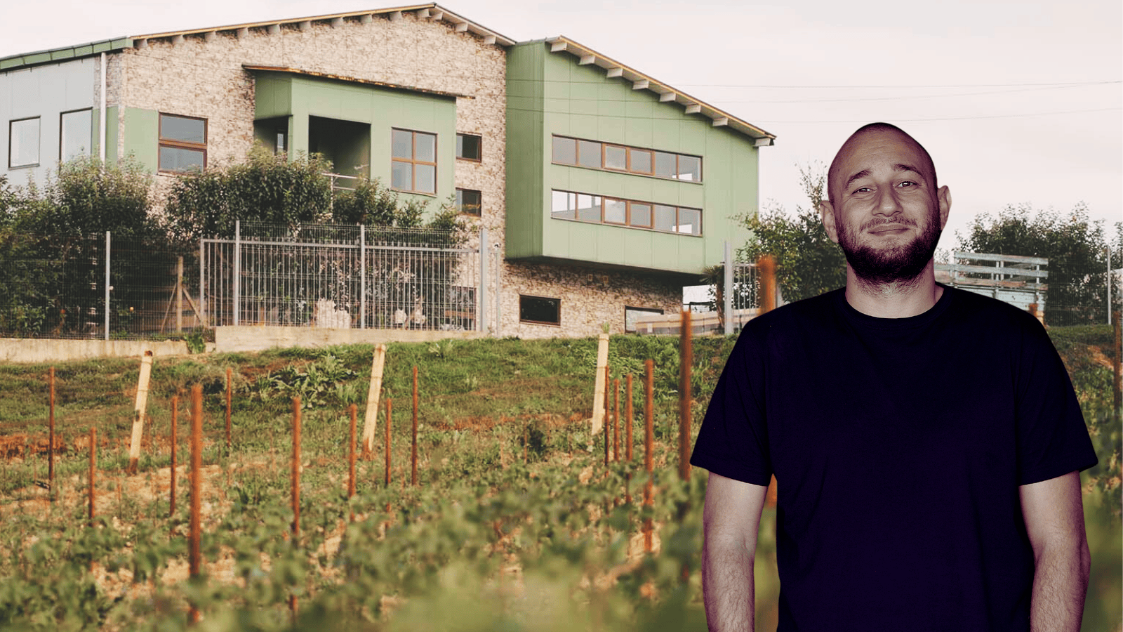 Reacții la măsurile Bolojan. Marian Olteanu, Gramma: În sectorul vinului premium și al turismului viticol impactul va fi mult