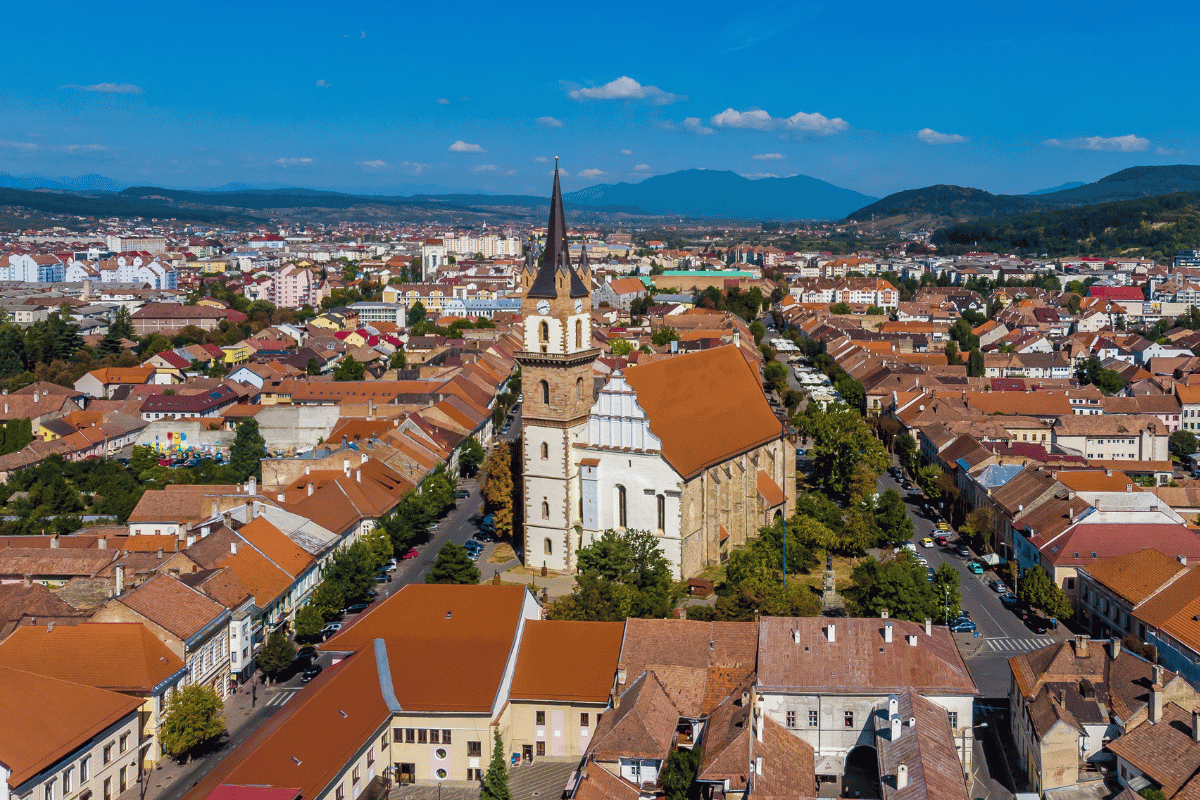Top 50 companii din Bistrița-Năsăud. De la Dan Steel și Gomar la Frasinul și Dimex 2000. Leoni, TeraPlast și Rombat rămân constante. Cum s-a schimbat vârful clasamentului în perioada 2008-2025. TIMELINE