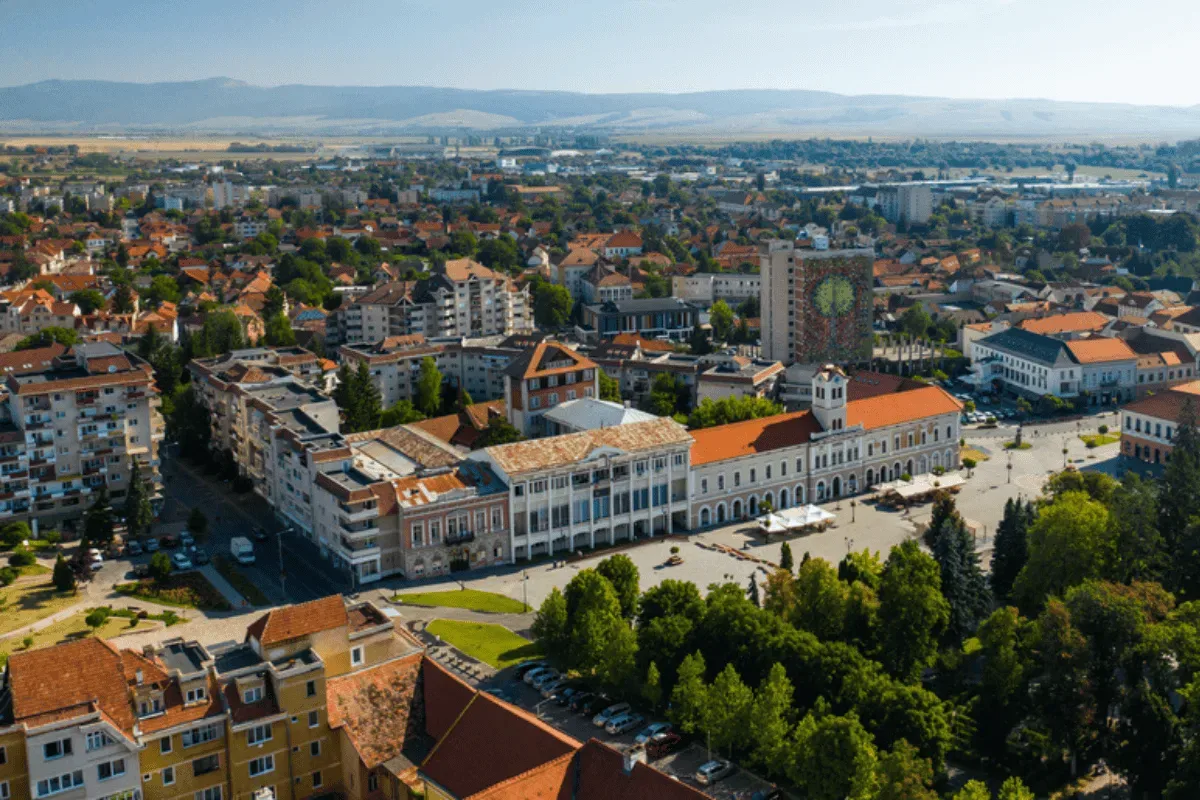 Top 50 companii din Covasna. De la Domo și Producție Zarah Moden la Fabrica de Lapte Brașov și HS Timber Reci. Cum s-a schimbat vârful clasamentului în perioada 2008-2025. TIMELINE