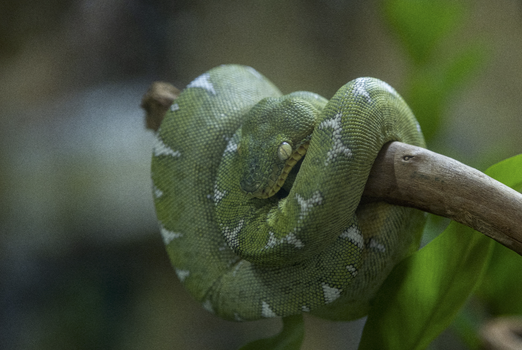 Capture d’écran 2025-09-14 à 11.36.14.png