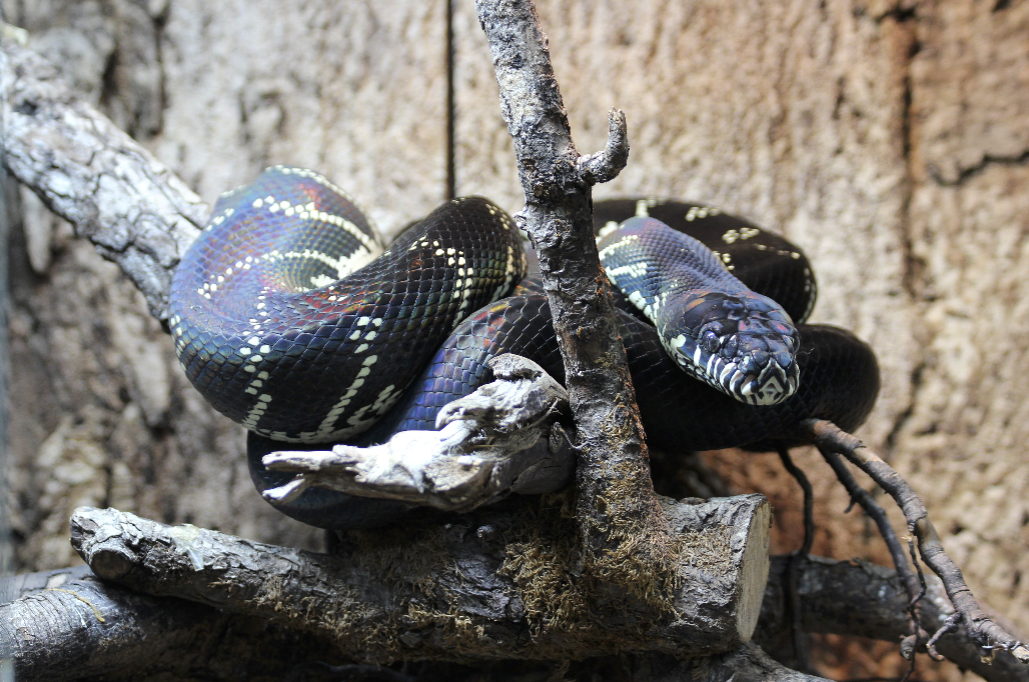 Capture d’écran 2025-09-14 à 11.35.50.png