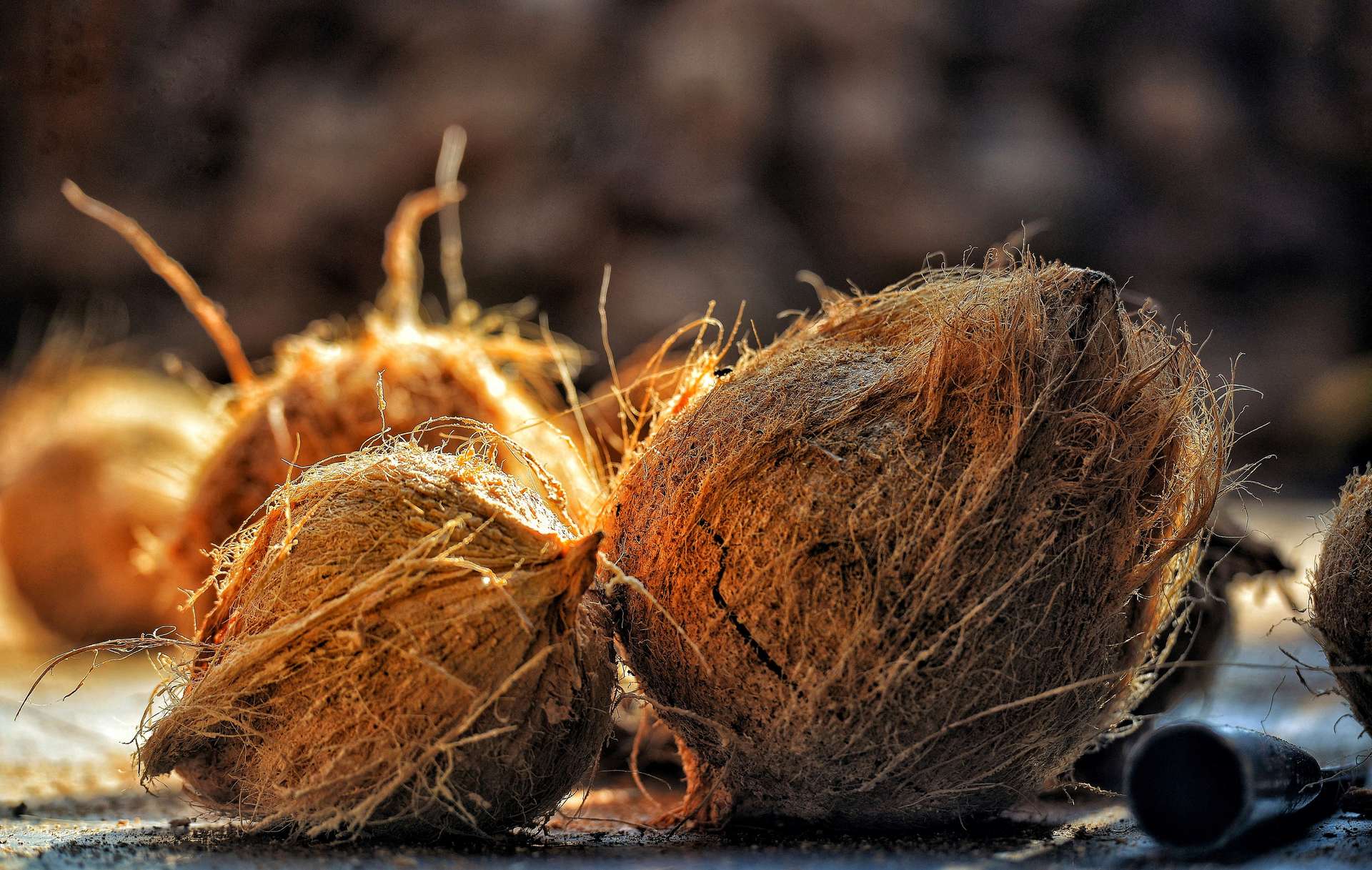 coconut-has-been-peeled-along-with-fiber.jpg