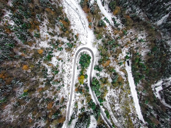 aerial photography of road way surrounded by trees during winter