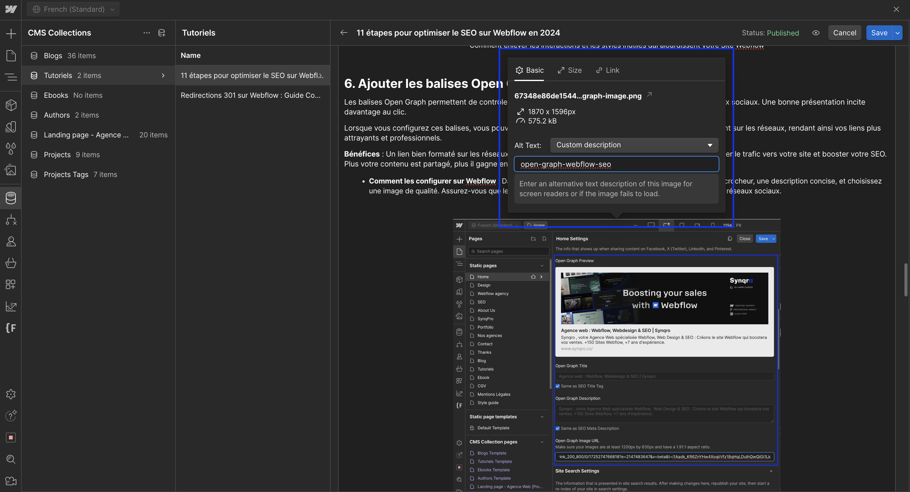 agence-webflow-seo-alt