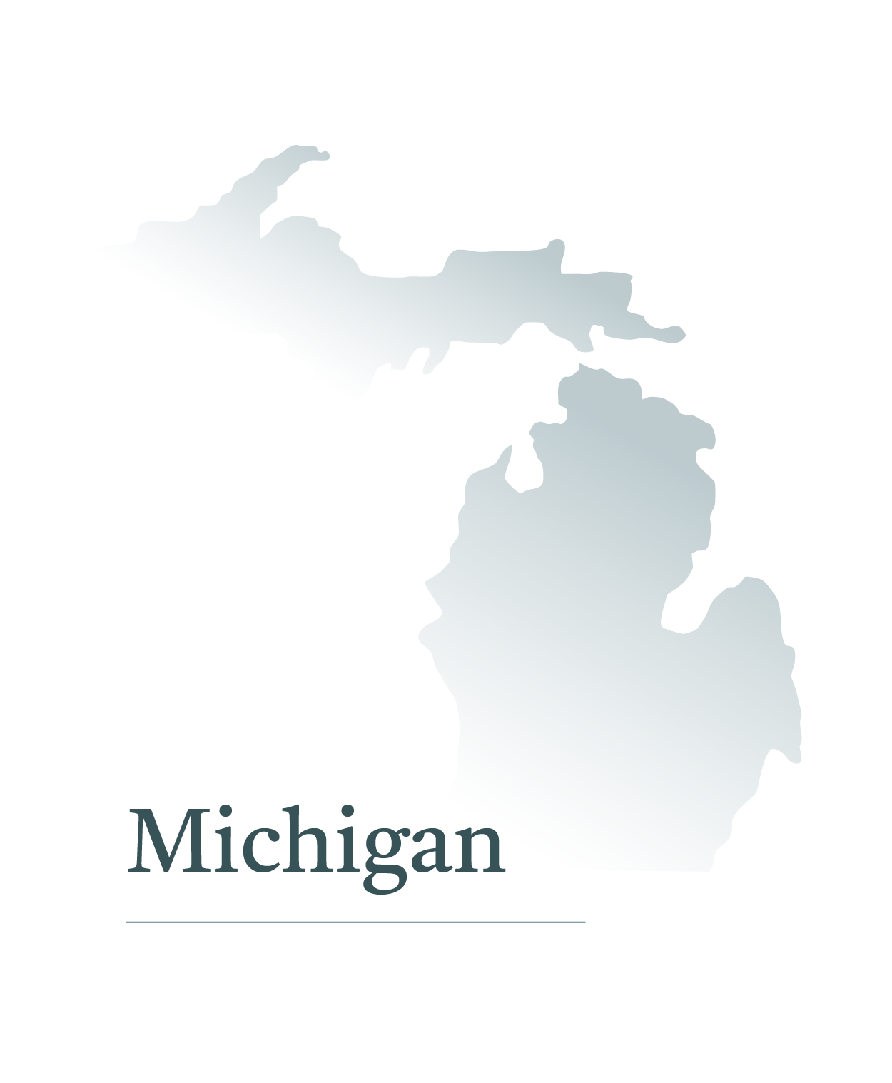 Silhouette map of the state of Michigan with the label 'Michigan' beneath it.