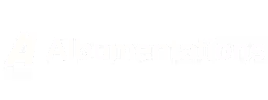 logo Albumentations