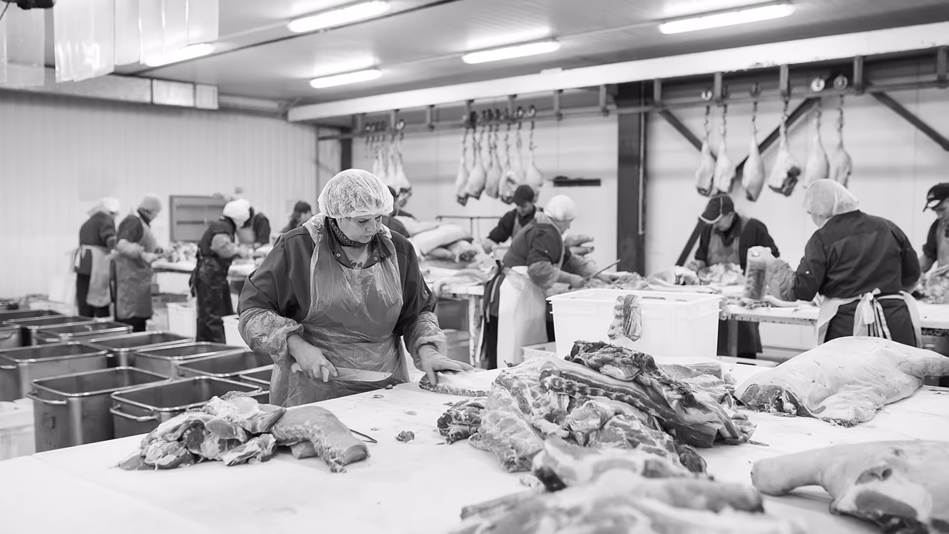 Workers in white uniforms and hairnets operating machinery and assembling food products on a production line in a factory.