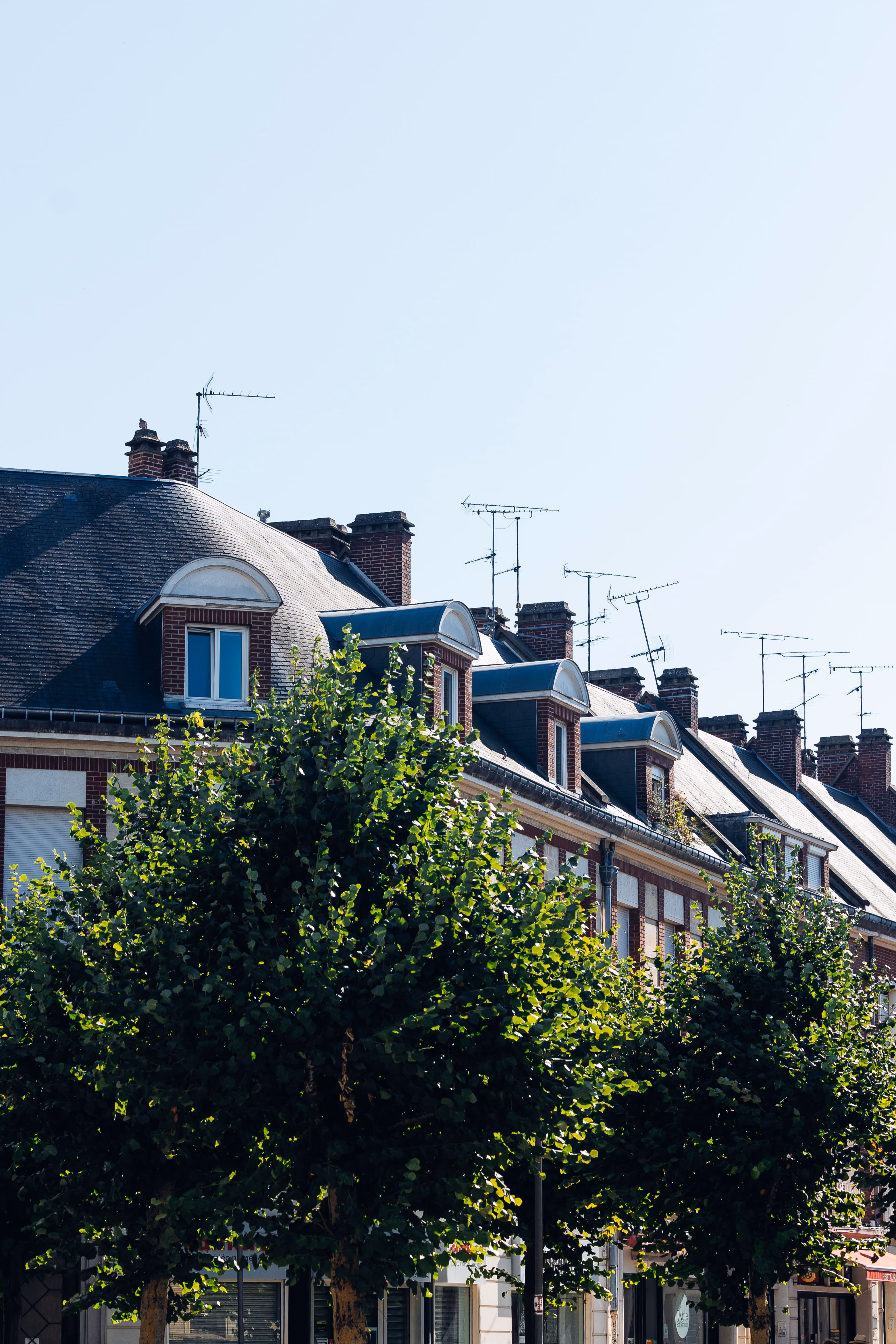 Façade d'immeubles en brique avec fenêtres de toit et arbres verts au premier plan.