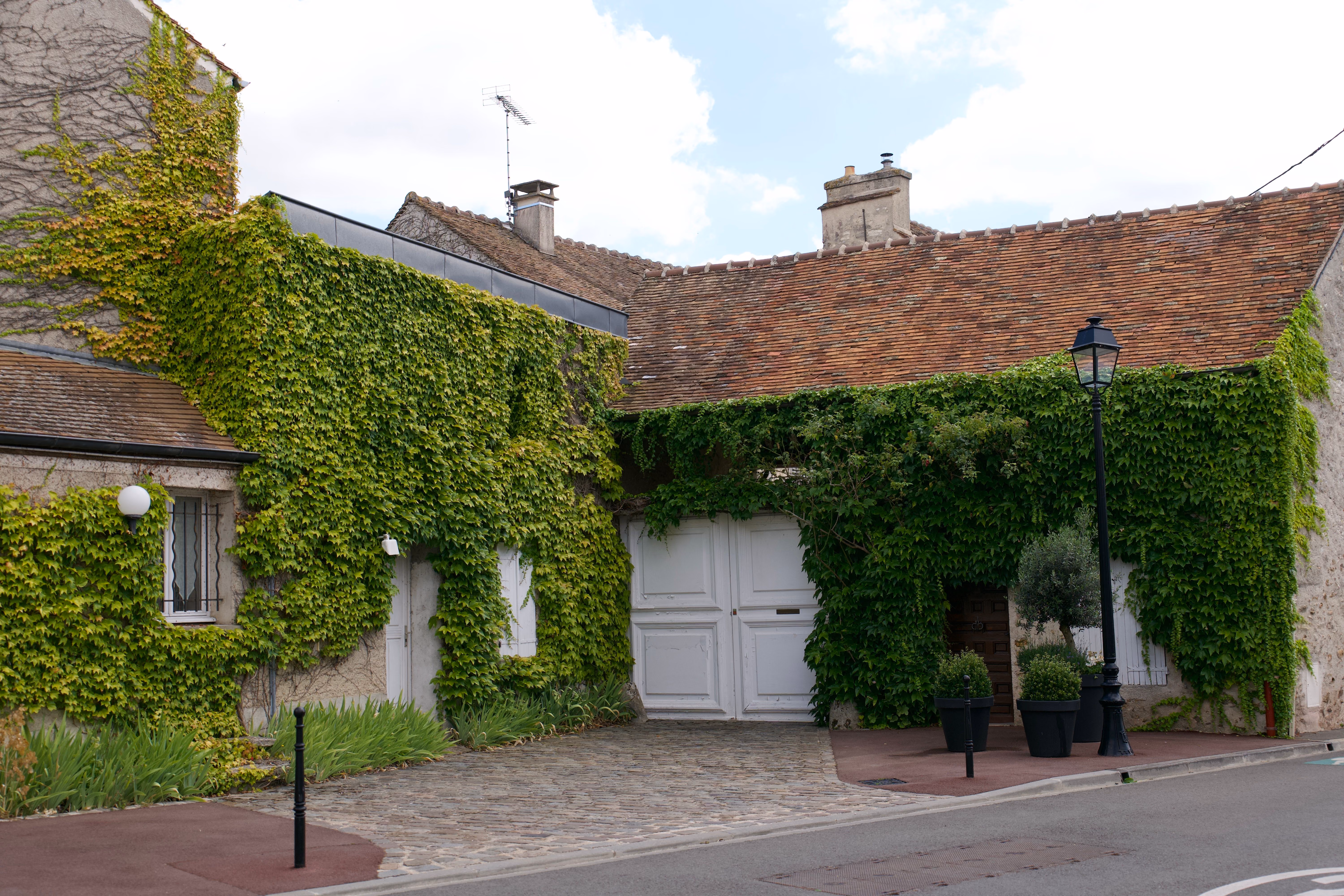 Façade d'une maison couverte de lierre avec une porte blanche, un lampadaire et des plantes en pots.