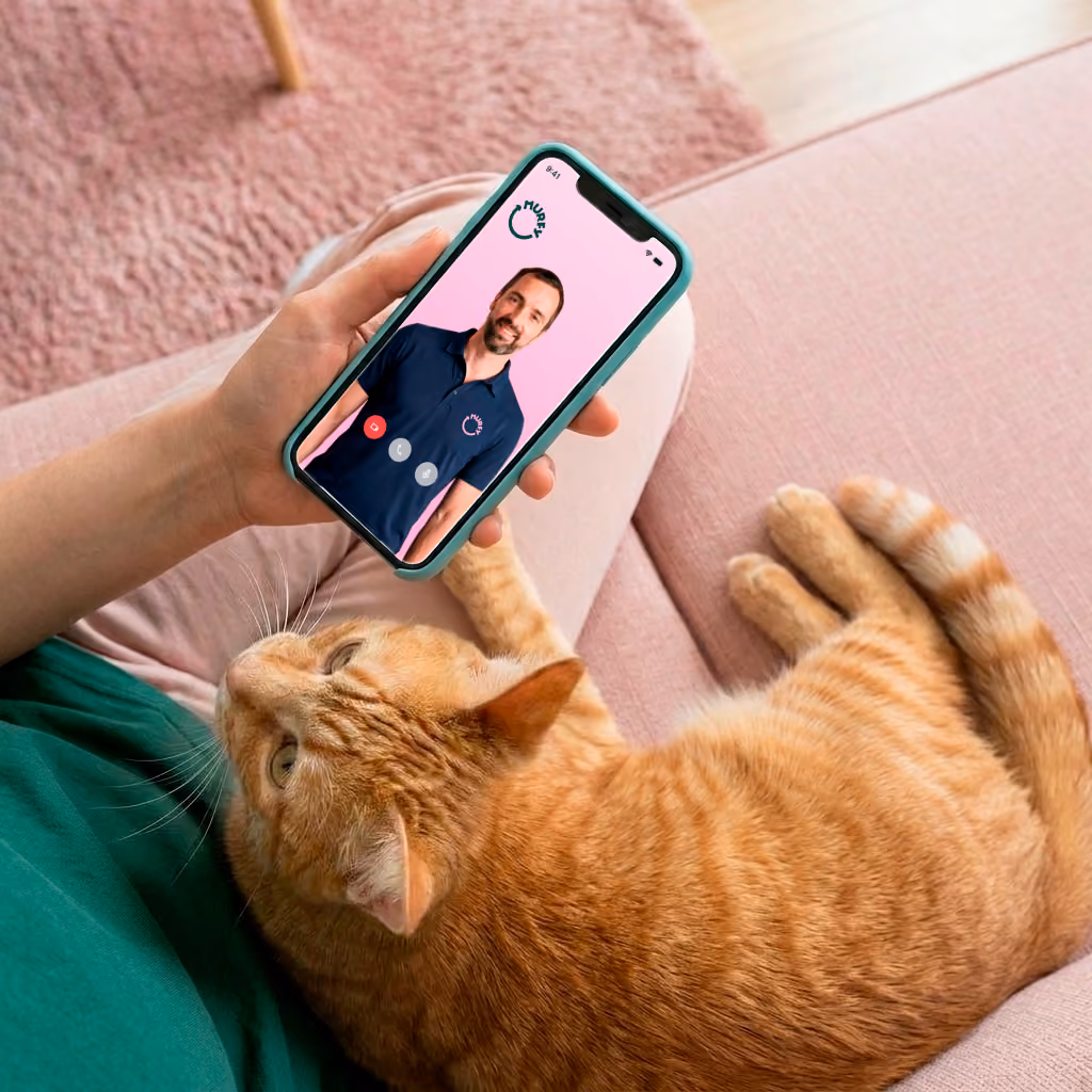 Prenez un RDV Vidéo dans la journée
