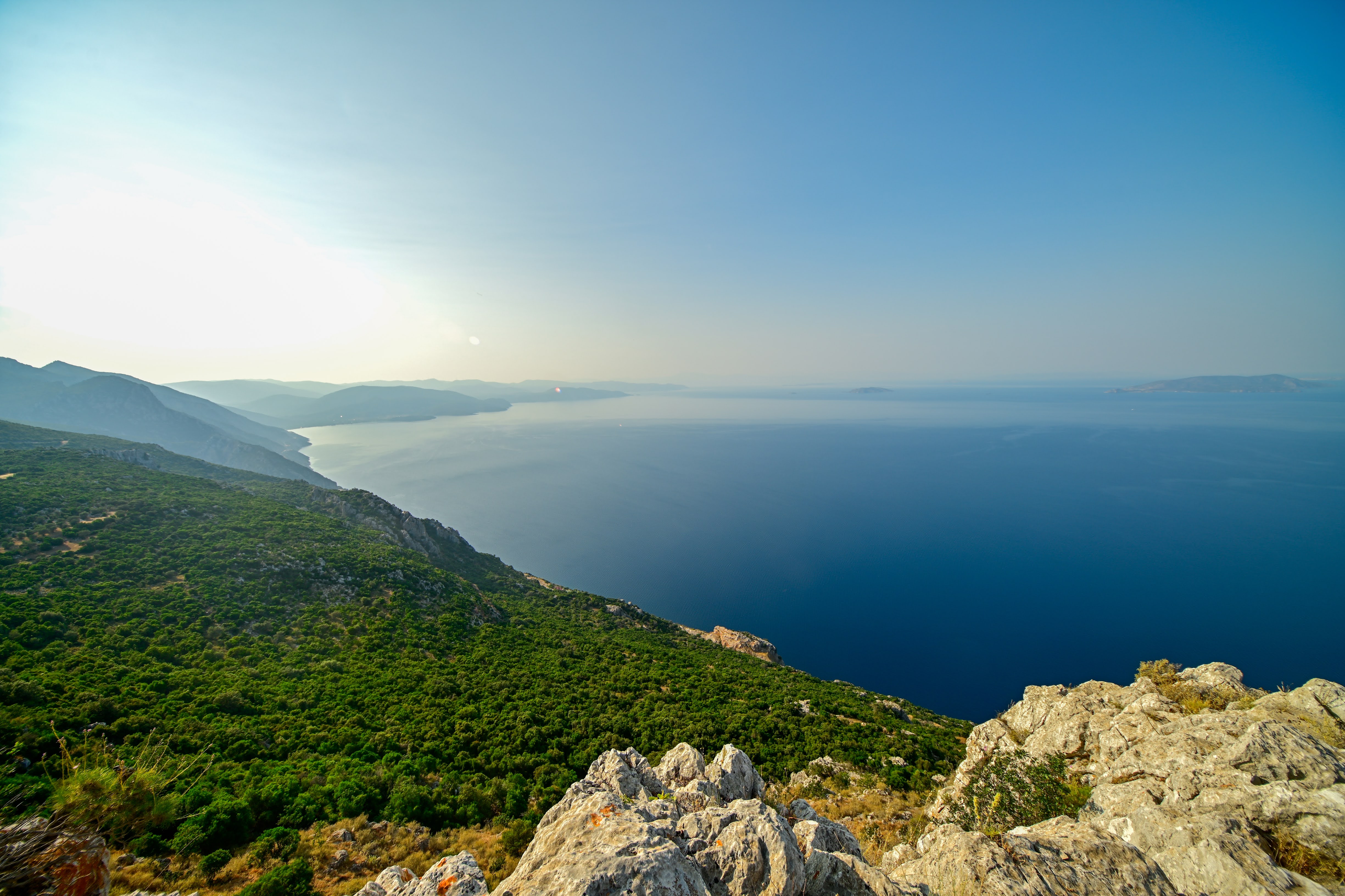 נוף של ים ועצים