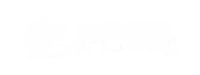 Blank white image with no visible content or details