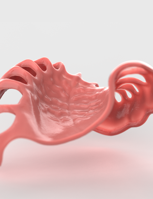 Close-up view of a flexible, pinkish red structure with smooth, curved surfaces and cutout sections, resembling a flexible dental or gum guard.