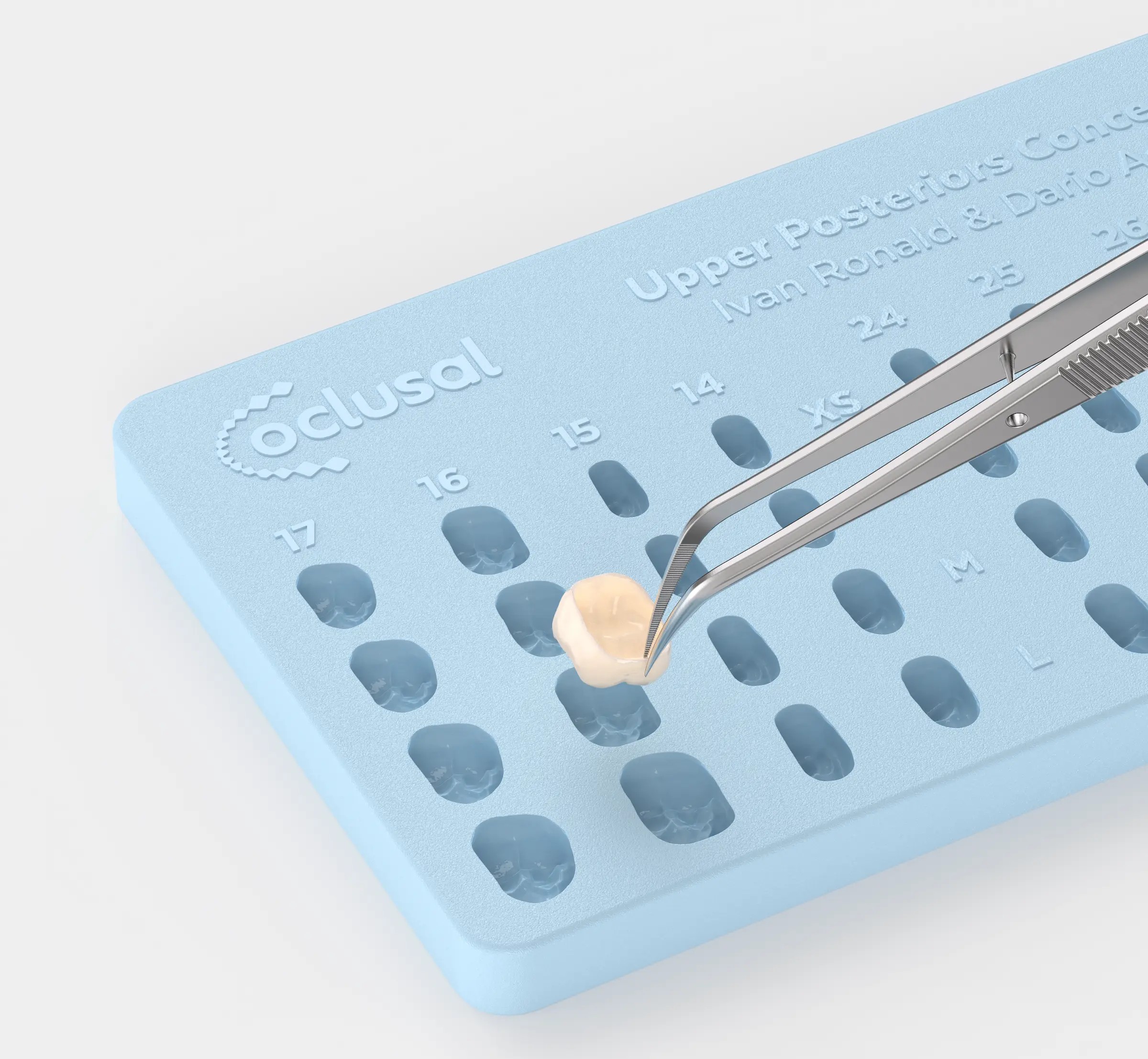 A close-up of a blue dental shade guide labeled 'occlusal' with upper posterior tooth shade options, showing a dental crown being held by metal tweezers above one of the shade slots.