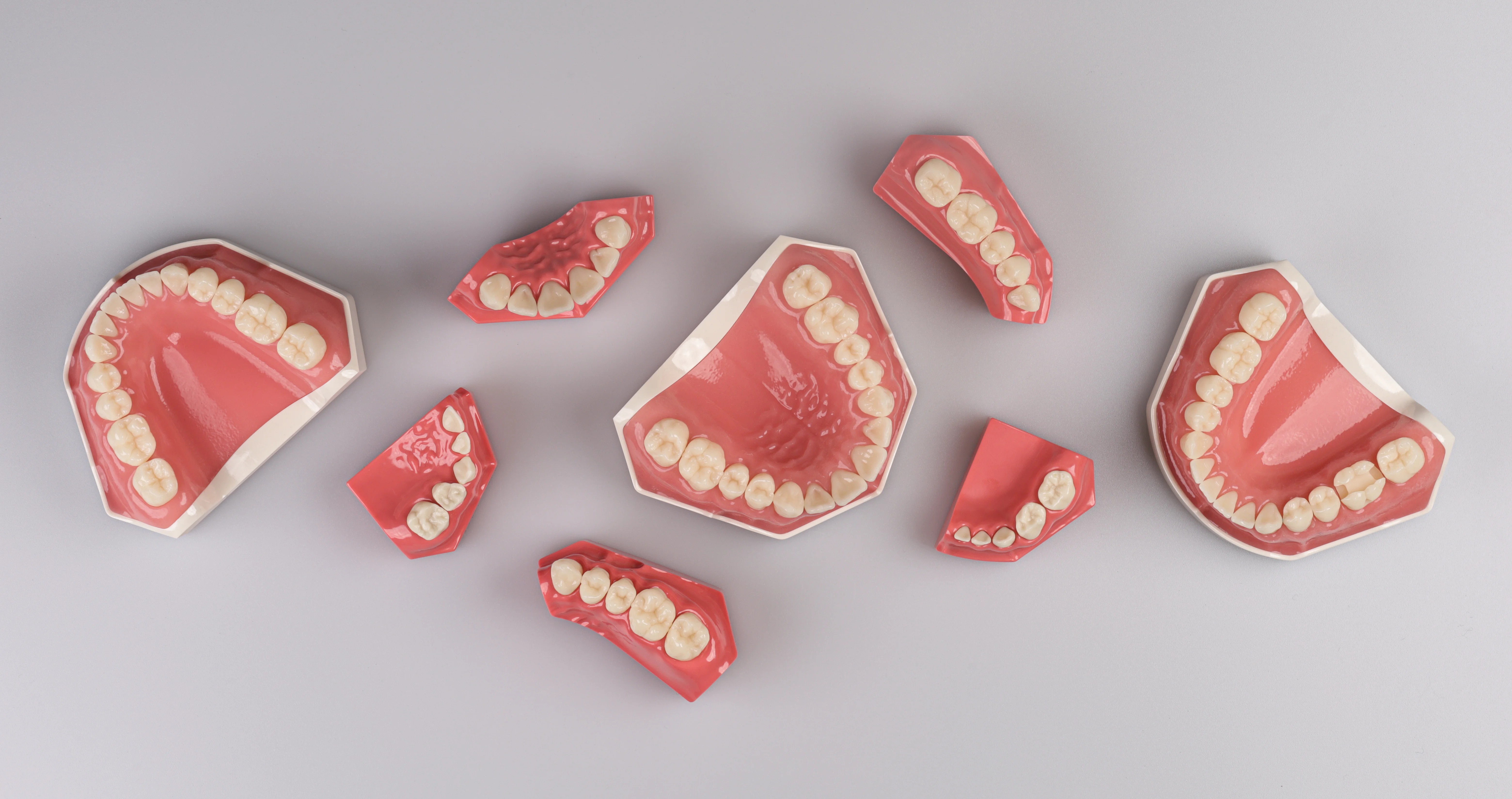 Eight dental models showing upper and lower sets of teeth and gums from various angles on a light gray surface.