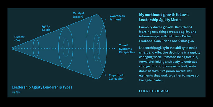 Leadership Agility graphic on the About page