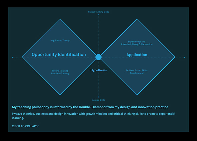 The Double Diamond graphic on the Coach/Teach page
