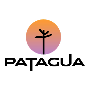 Logotipo de la marca Patagua con un ícono de árbol estilizado dentro de un círculo degradado de naranja a morado sobre un texto negro en negrita.