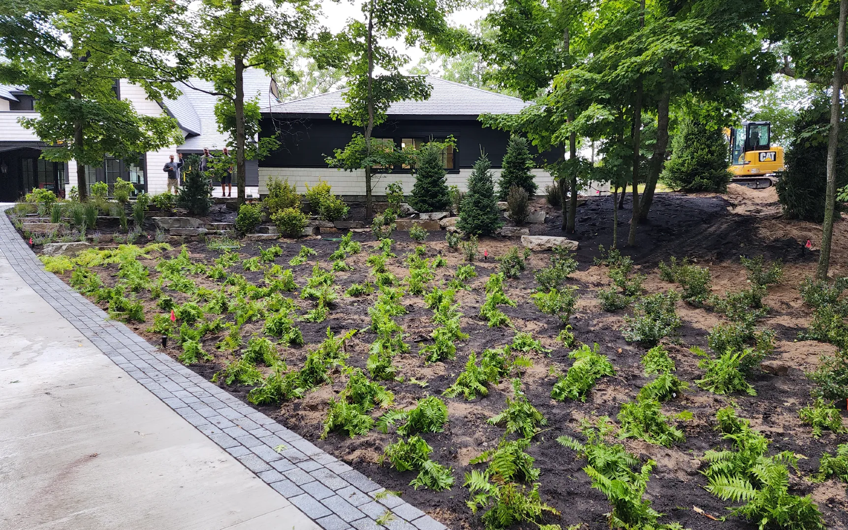 Newly landscaped garden with young plants and ferns in front of a modern house with a gray roof, and a yellow Caterpillar excavator in the background.
