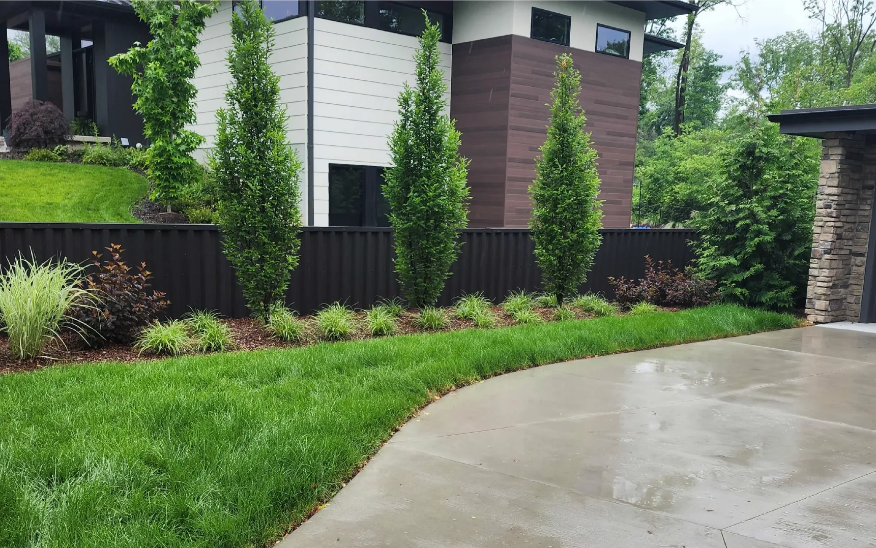 Modern house exterior with a row of tall green shrubs, manicured lawn, and wet concrete driveway.