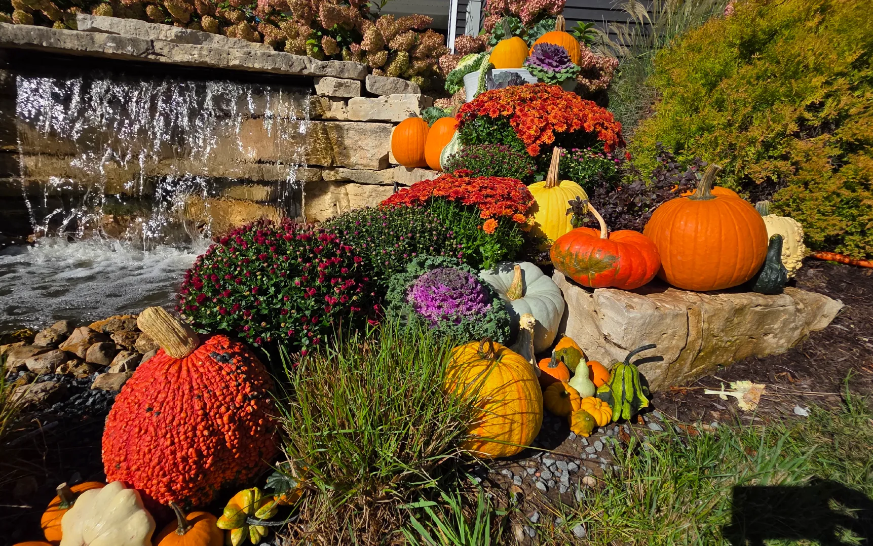Autumn garden scene with a variety of pumpkins, gourds, ornamental cabbages, and colorful chrysanthemums arranged beside a stone waterfall feature.