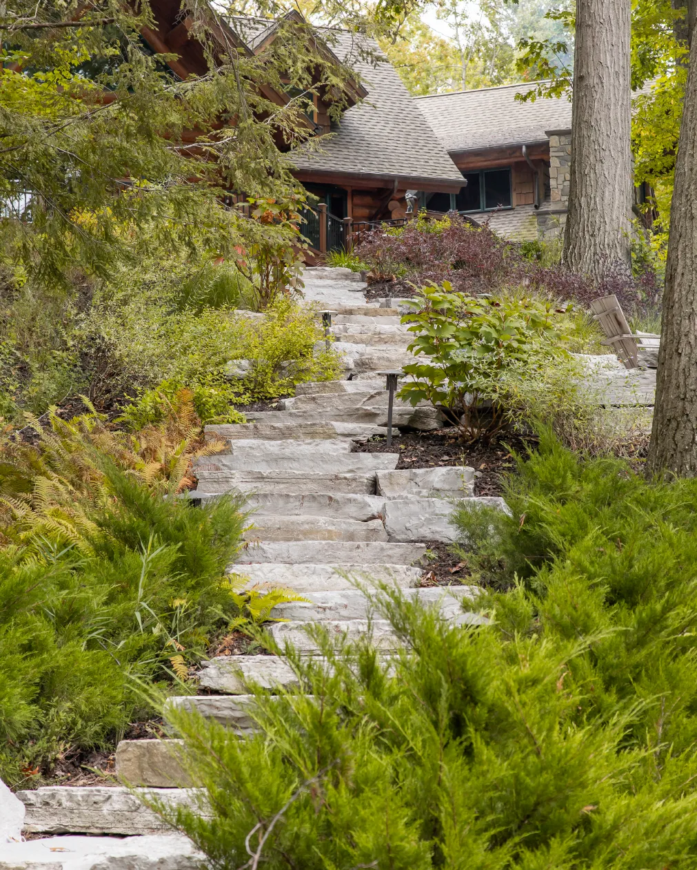 Stone steps surrounded by dense greenery lead up to a rustic wooden house.