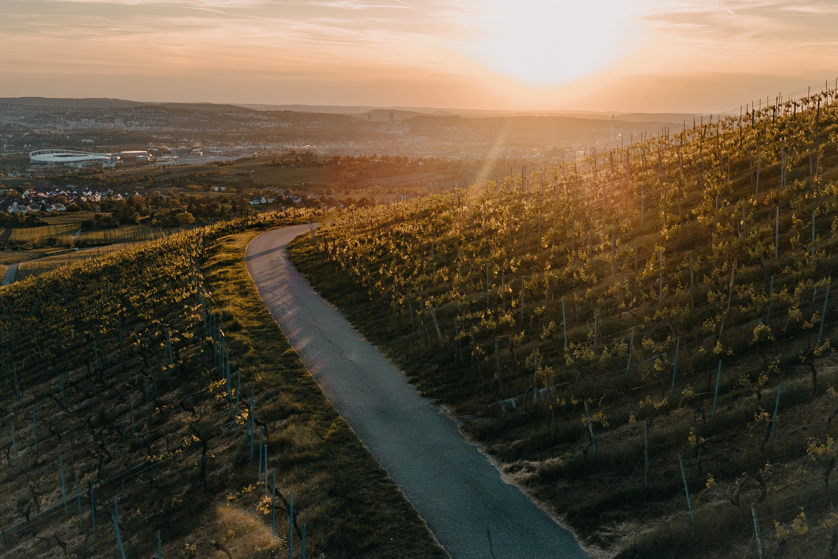 Winding road through vineyards on hills at sunset with a cityscape in the distance.