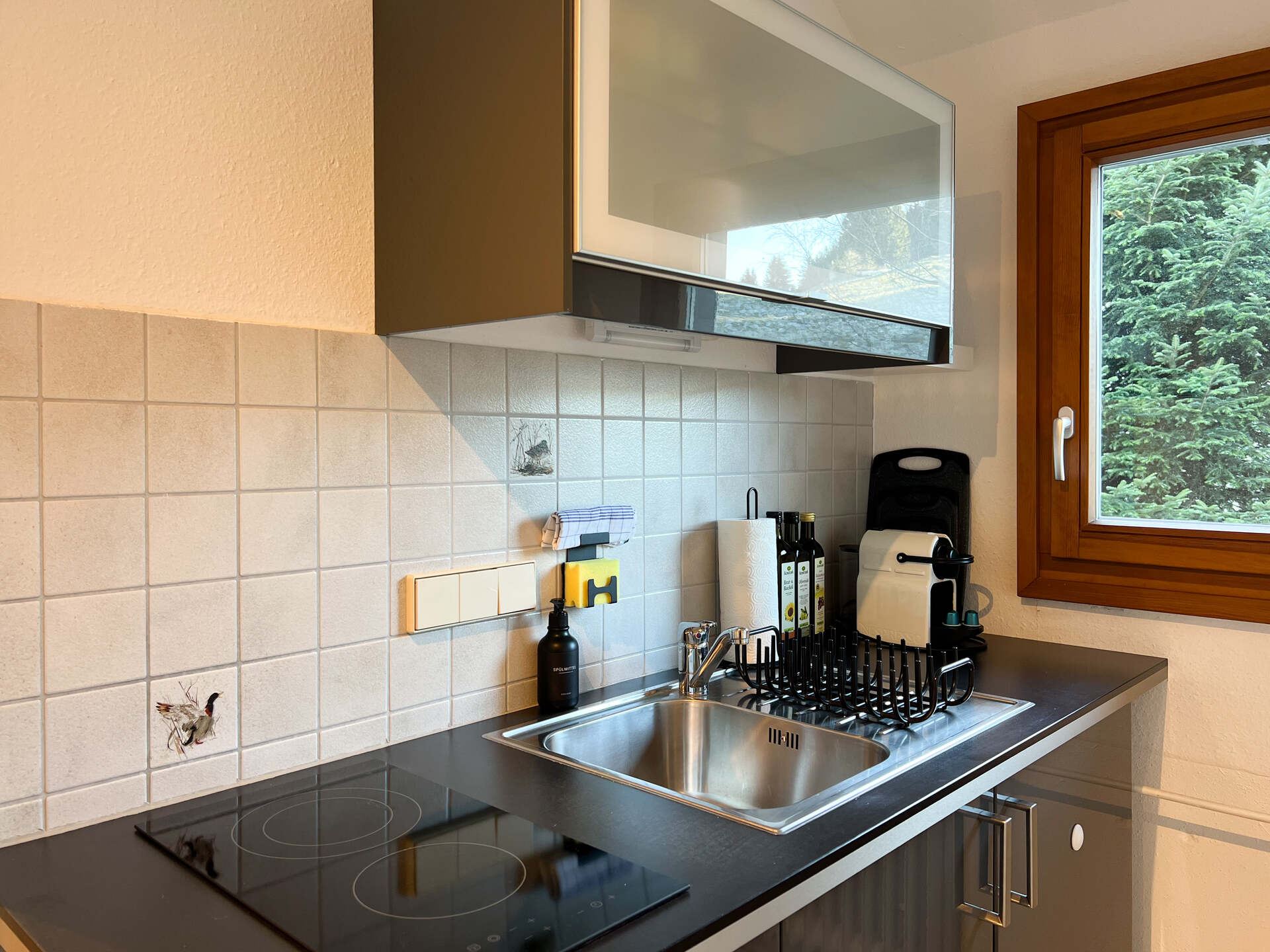 Kuechenzeile mit Spuele und Blick nach draussen