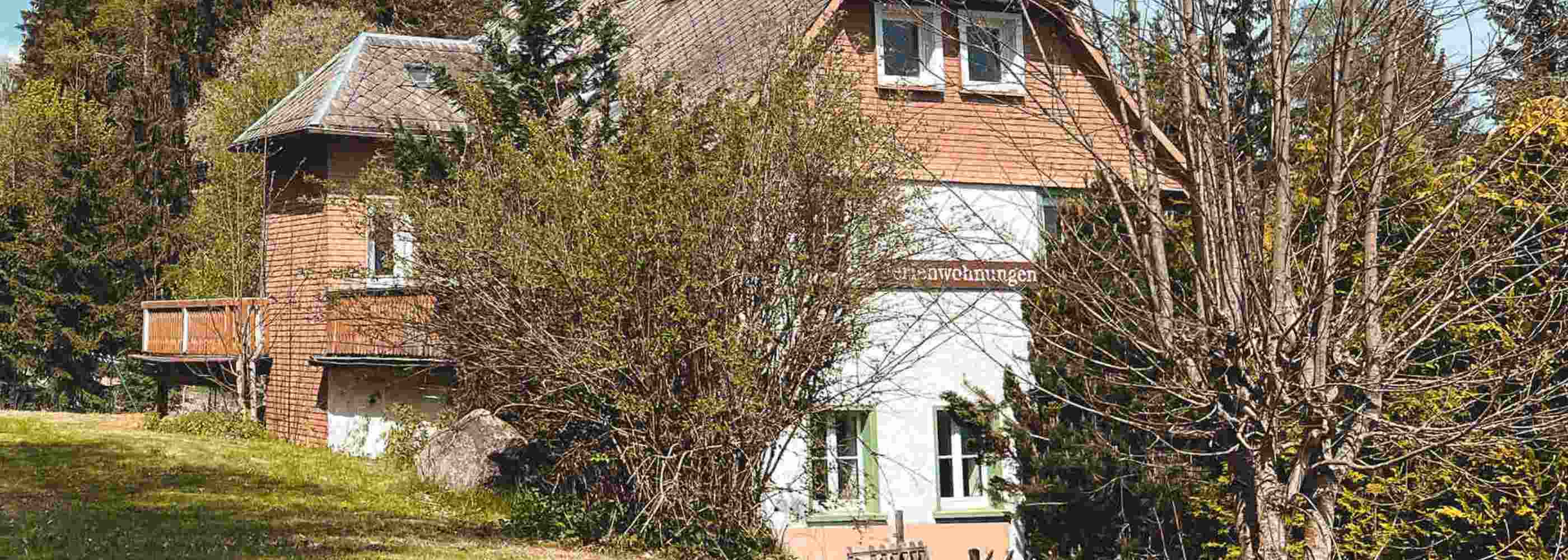Aussenansicht des Ferienhauses Haus Tanneck im Sommer, umgeben von Baeumen und Gruenflaeche