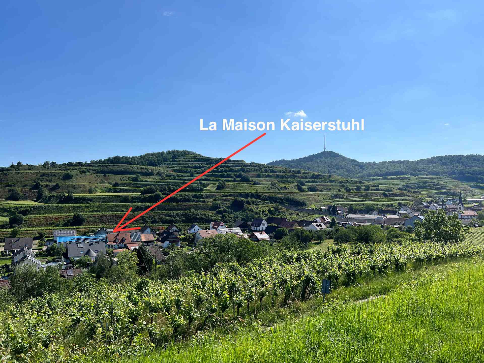 Blick auf das Ferienhaus vom Weinberg