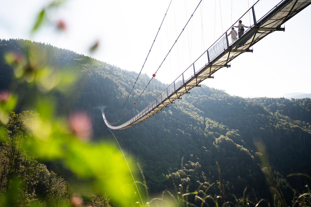 Riesenhaengebruecke in Todtnau
