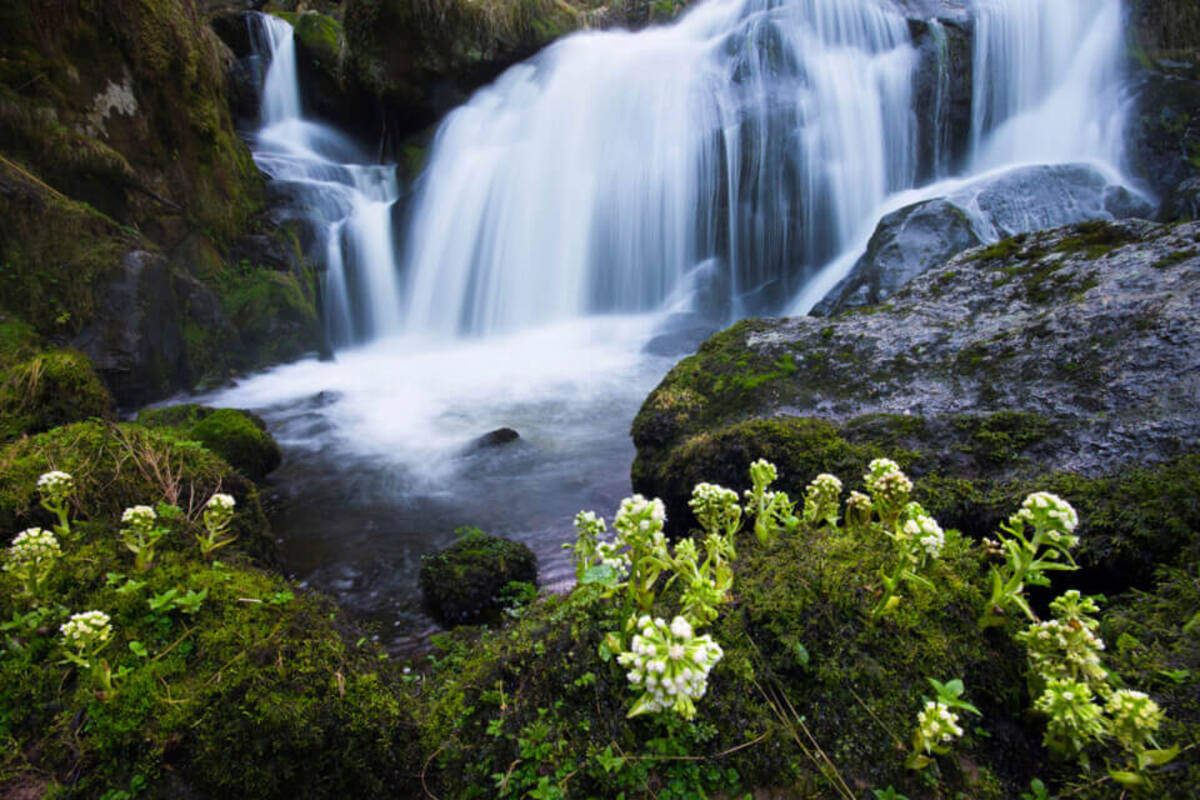 Triberger Wasserfaelle im Schwarzwald