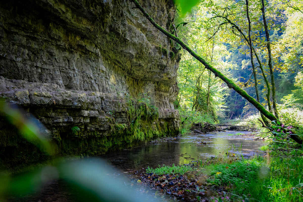 Wutachschlucht Grand Canyon im Schwarzwald