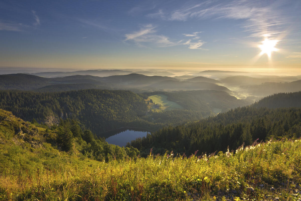 Feldbergsteig Panorama Wanderung im Schwarzwald