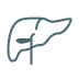 Stylized icon of a human liver with a blood vessel branch inside, outlined in light blue.