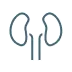 Stylized icon of human kidneys in light blue and white lines on a black background.