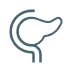 Simplified graphic of a human pancreas outlined in blue and white.