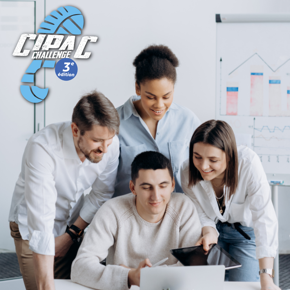 image of concert crowd