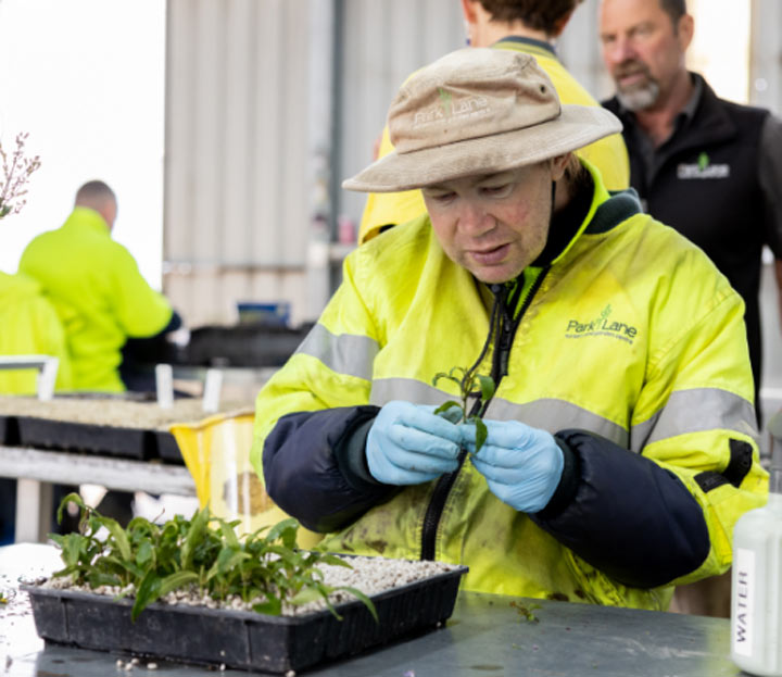 A person holding a seeling