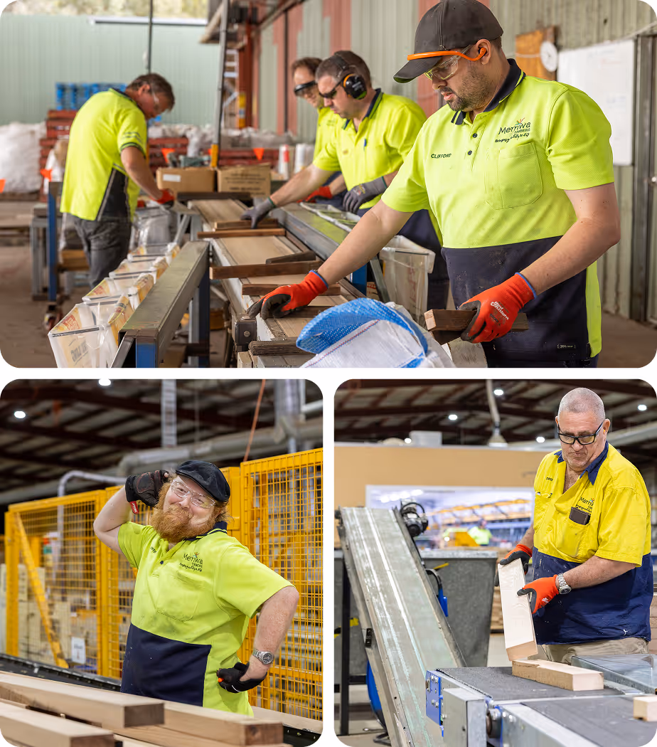 Three pictures, top one is of staff working on next to a conveyor, the bottom left is a worker standing in front of machinery, bottom right is a worker putting timber onto a conveyor.