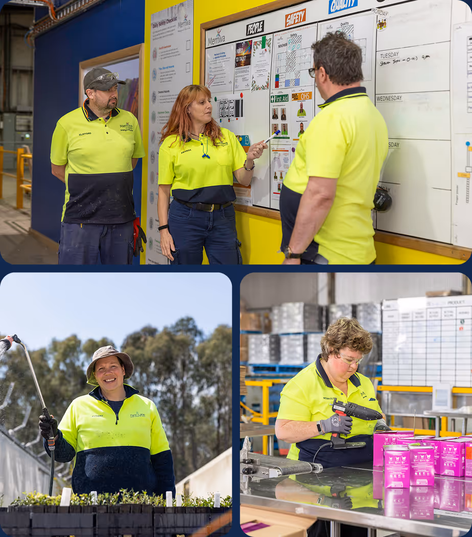 Three pictures, the top one is three people standing in front of a whiteboard, the bottom left is a man holding a hose standing in front of plants, the bottom right is a lady holding a glue gun working on a production line.