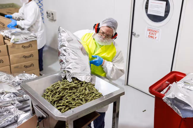 A person tipping a bag of product into a hopper in a food room