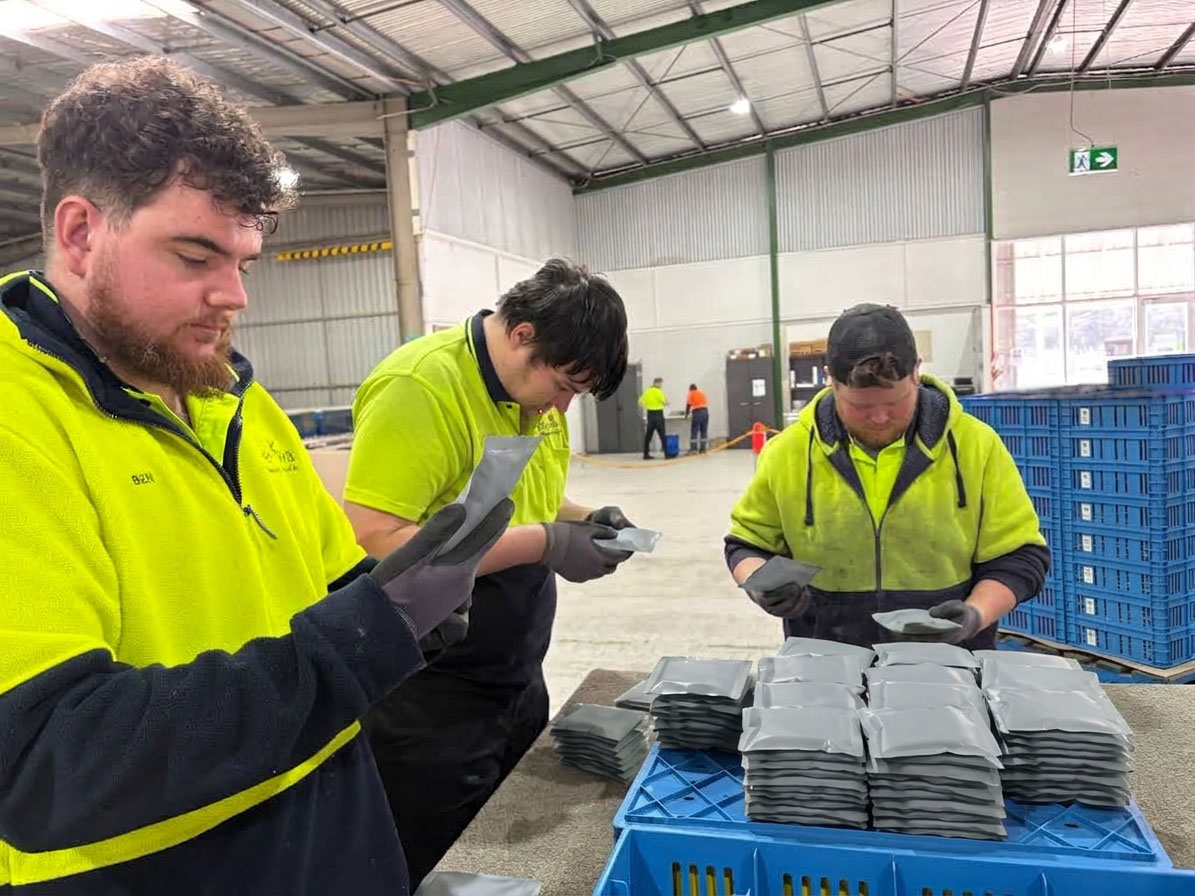 Manual inspection of 300,000 pouches at our co-packaging plant in Wodonga to check product for off-spec packaging. Good stock is cleared for distribution, faulty pouches return for repacking.